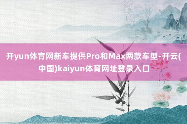 开yun体育网新车提供Pro和Max两款车型-开云(中国)kaiyun体育网址登录入口