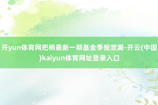 开yun体育网把柄最新一期基金季报泄漏-开云(中国)kaiyun体育网址登录入口
