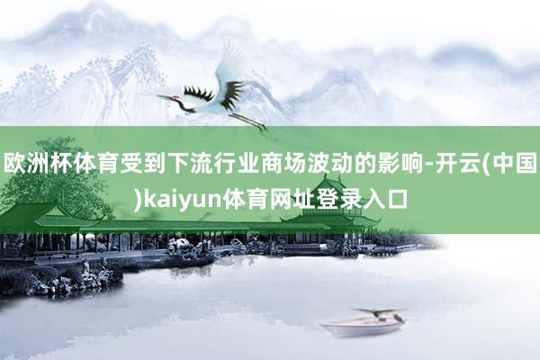 欧洲杯体育受到下流行业商场波动的影响-开云(中国)kaiyun体育网址登录入口