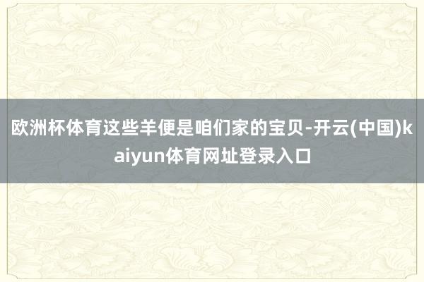 欧洲杯体育这些羊便是咱们家的宝贝-开云(中国)kaiyun体育网址登录入口