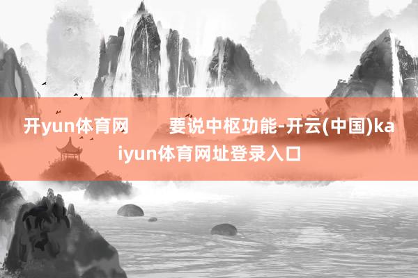 开yun体育网        要说中枢功能-开云(中国)kaiyun体育网址登录入口